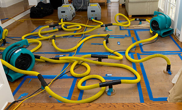 Professional Structural Drying And Dehumidification technician working in Rutland, OH